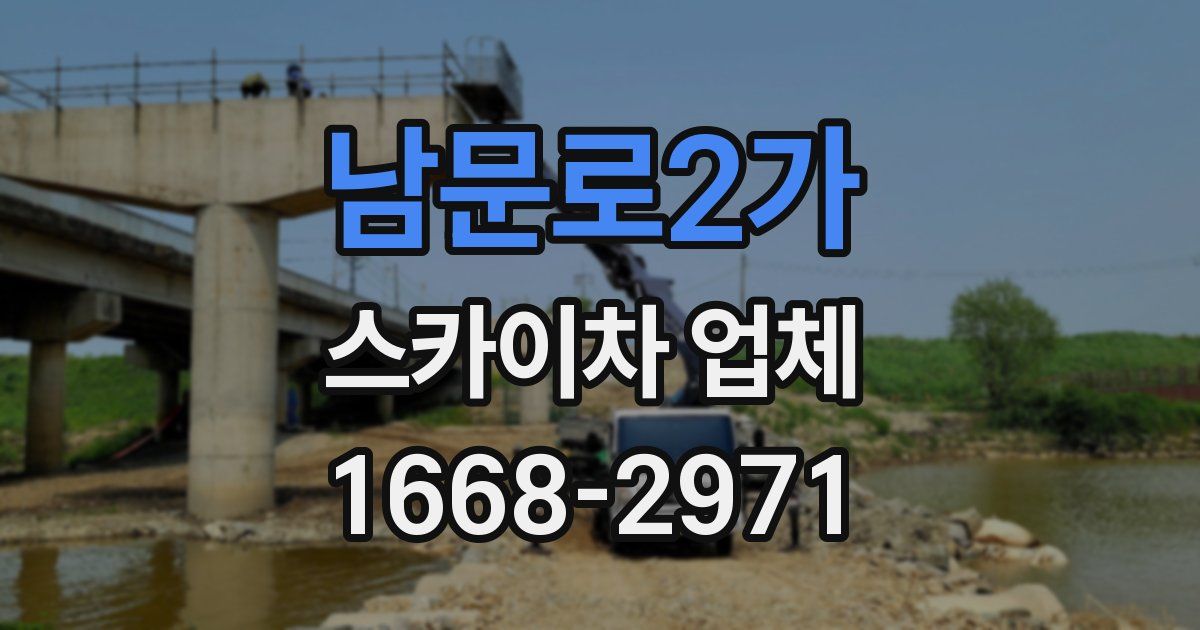 남문로2가 스카이차 업체