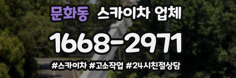 문화동 스카이차 업체