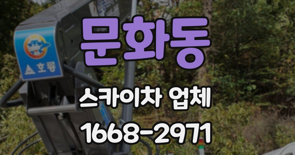 문화동 스카이차 업체