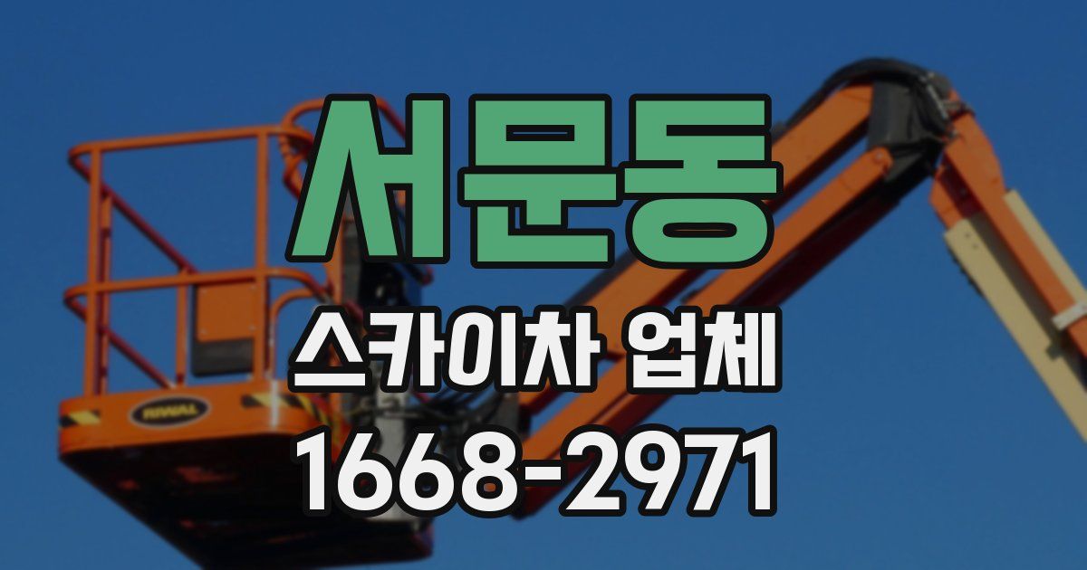 서문동 스카이차 업체