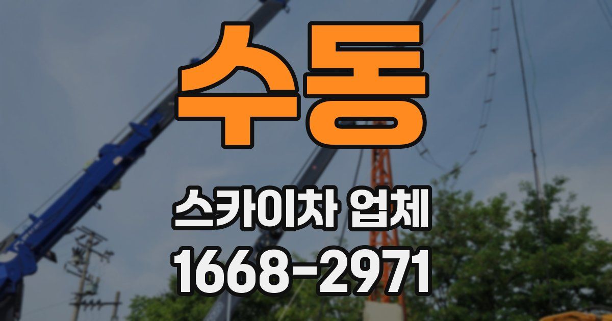 수동 스카이차 업체