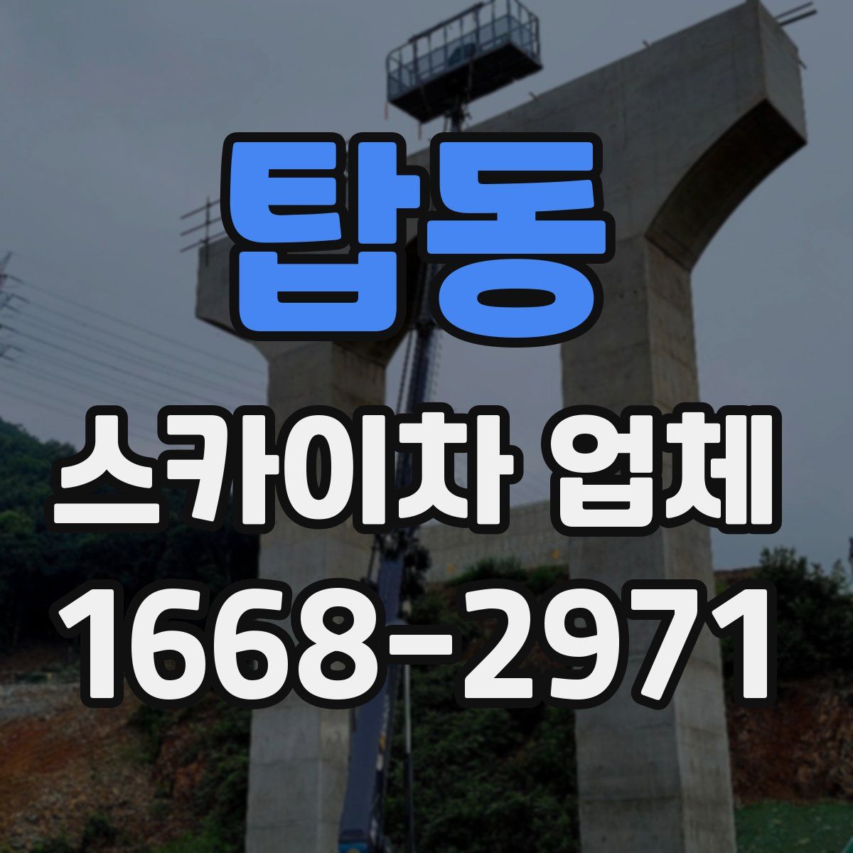 탑동 스카이차 업체