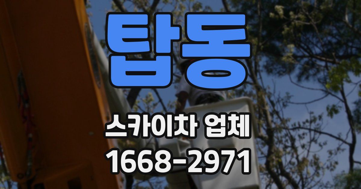 탑동 스카이차 업체
