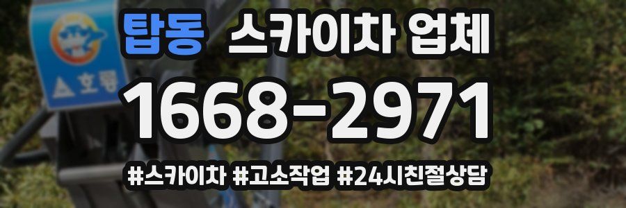 탑동 스카이차 업체