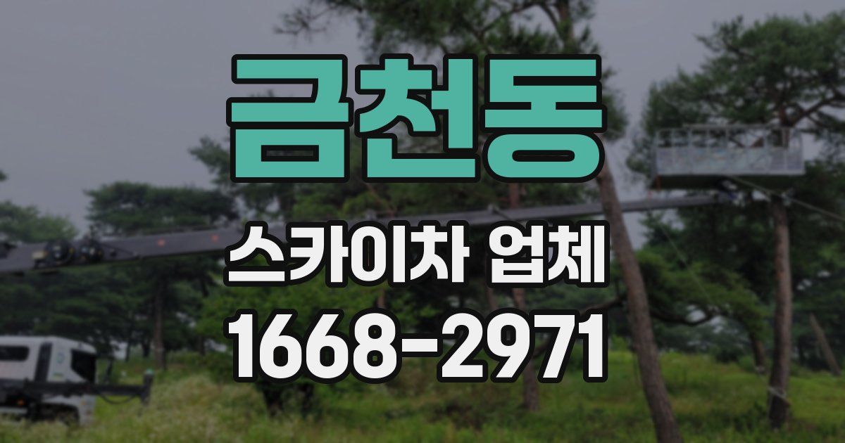 금천동 스카이차 업체