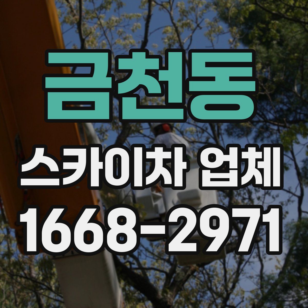 금천동 스카이차 업체