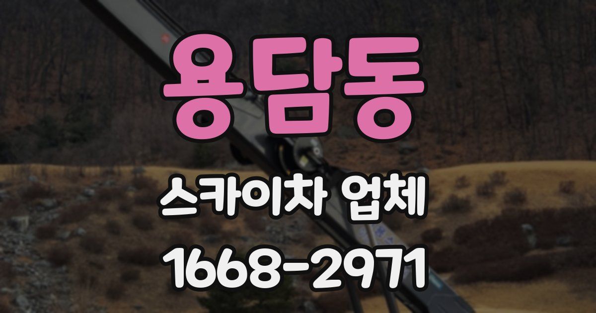 용담동 스카이차 업체
