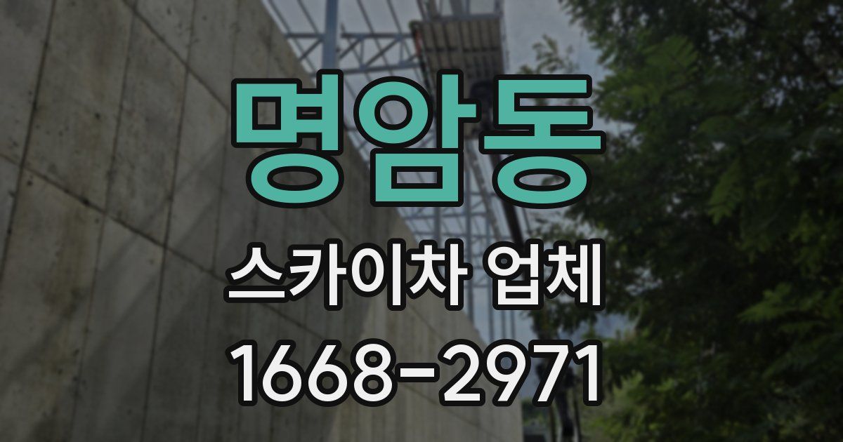 명암동 스카이차 업체