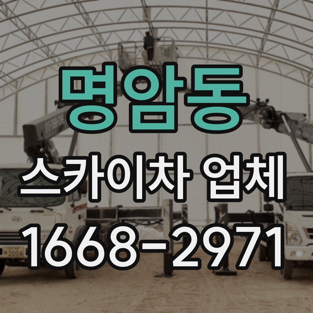 명암동 스카이차 업체