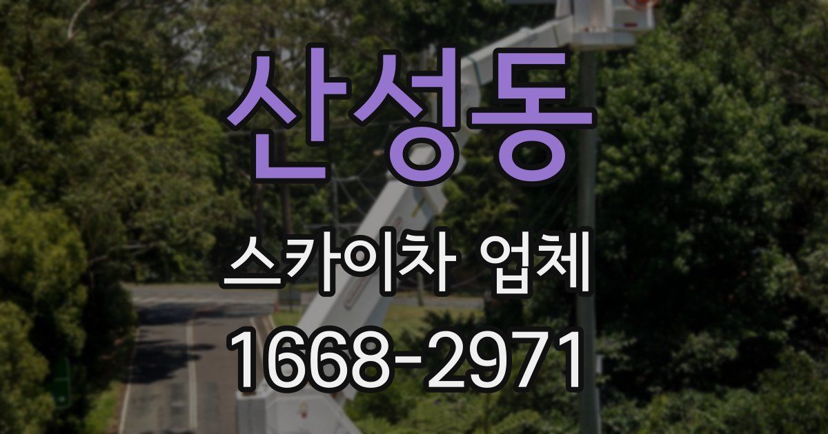 산성동 스카이차 업체