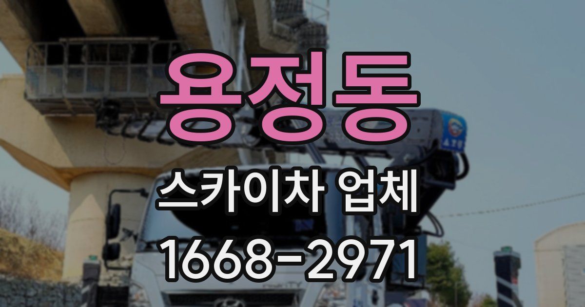 용정동 스카이차 업체