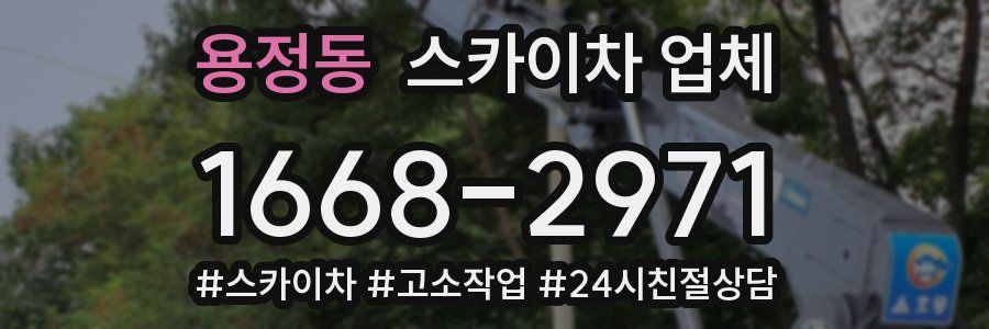 용정동 스카이차 업체