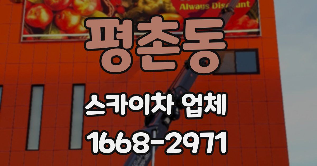 평촌동 스카이차 업체