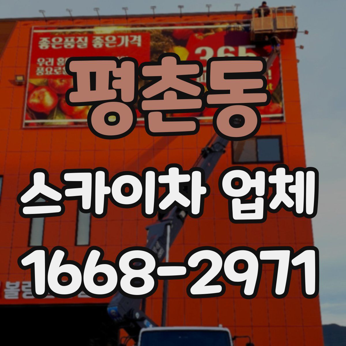 평촌동 스카이차 업체