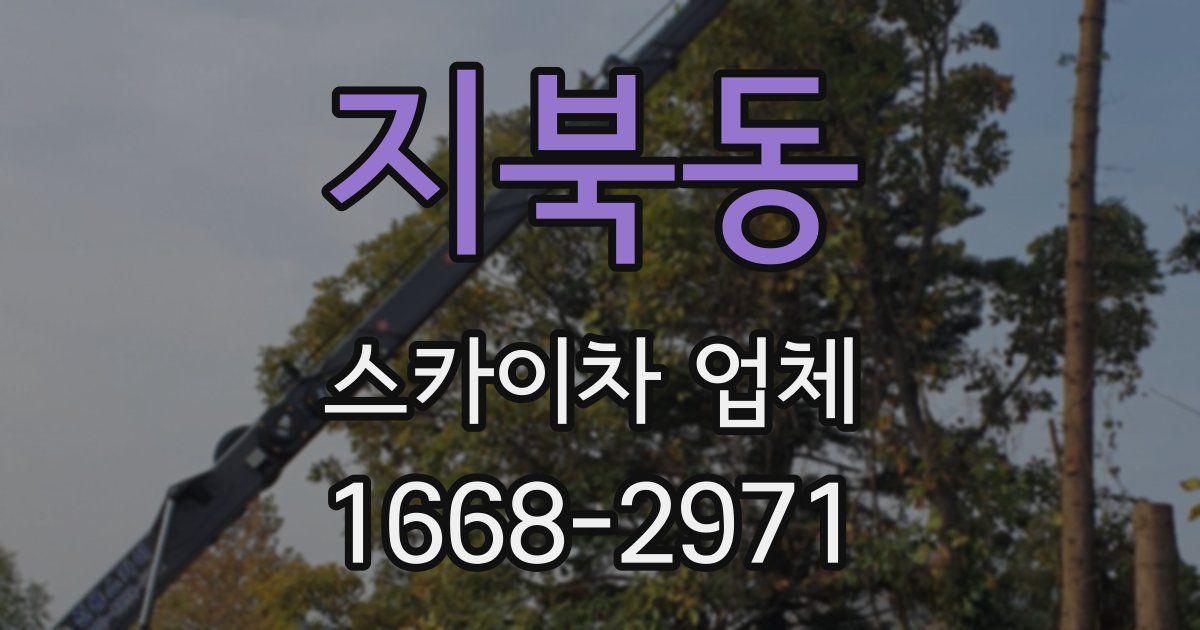 지북동 스카이차 업체