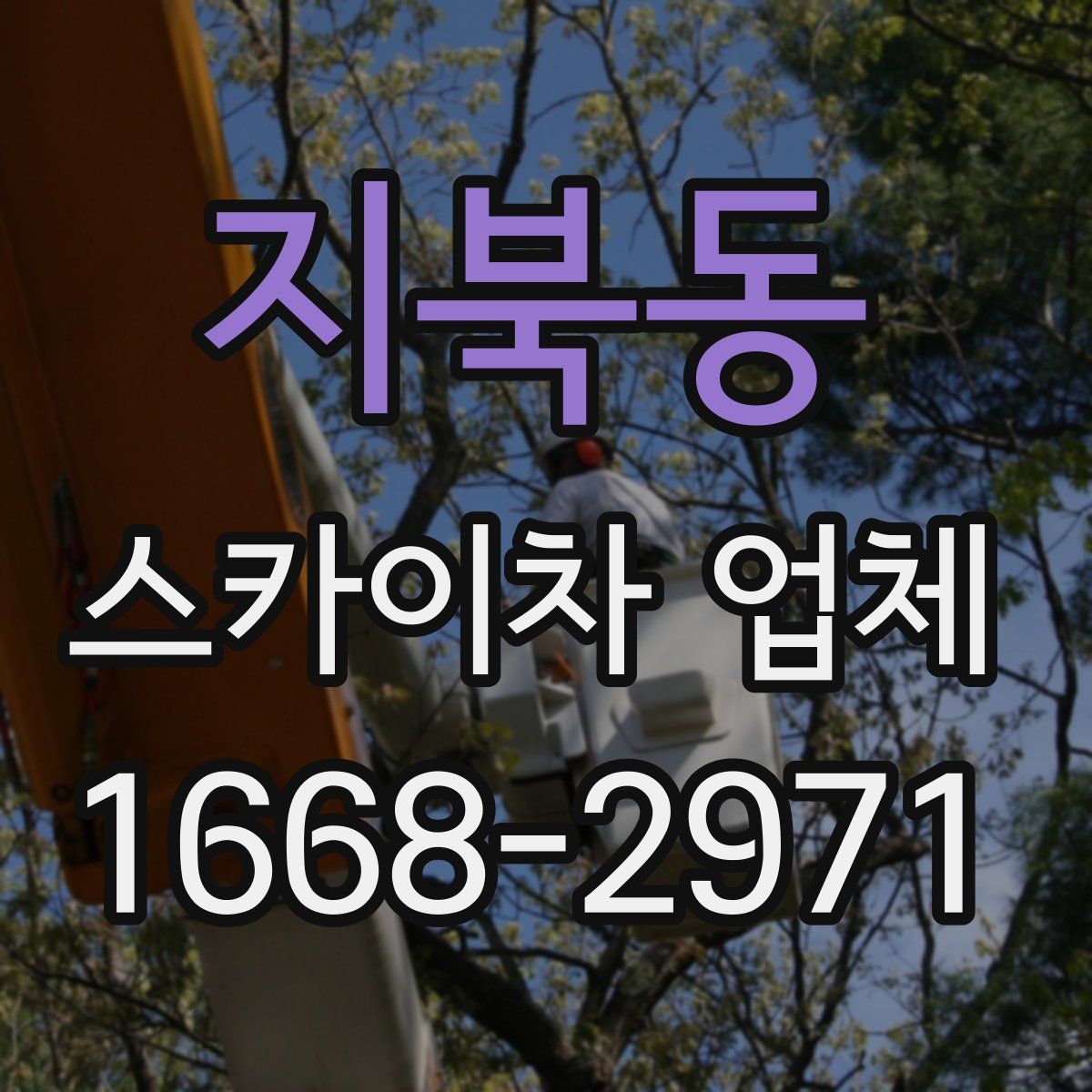 지북동 스카이차 업체