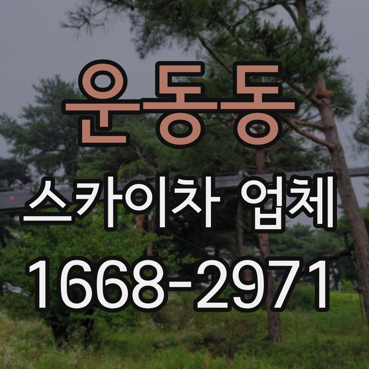 운동동 스카이차 업체