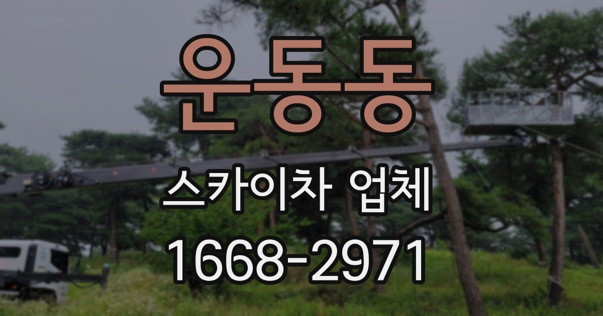 운동동 스카이차 업체