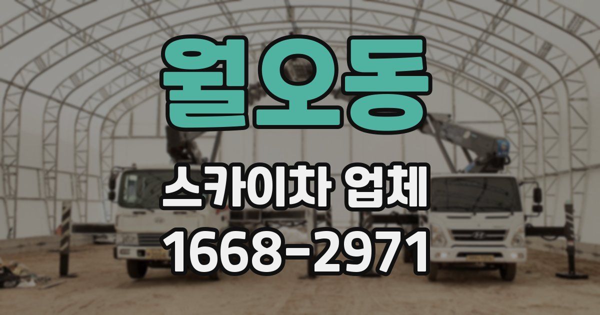 월오동 스카이차 업체