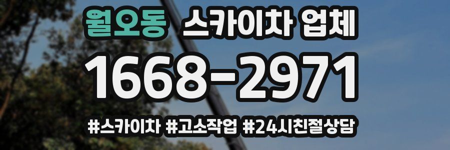 월오동 스카이차 업체