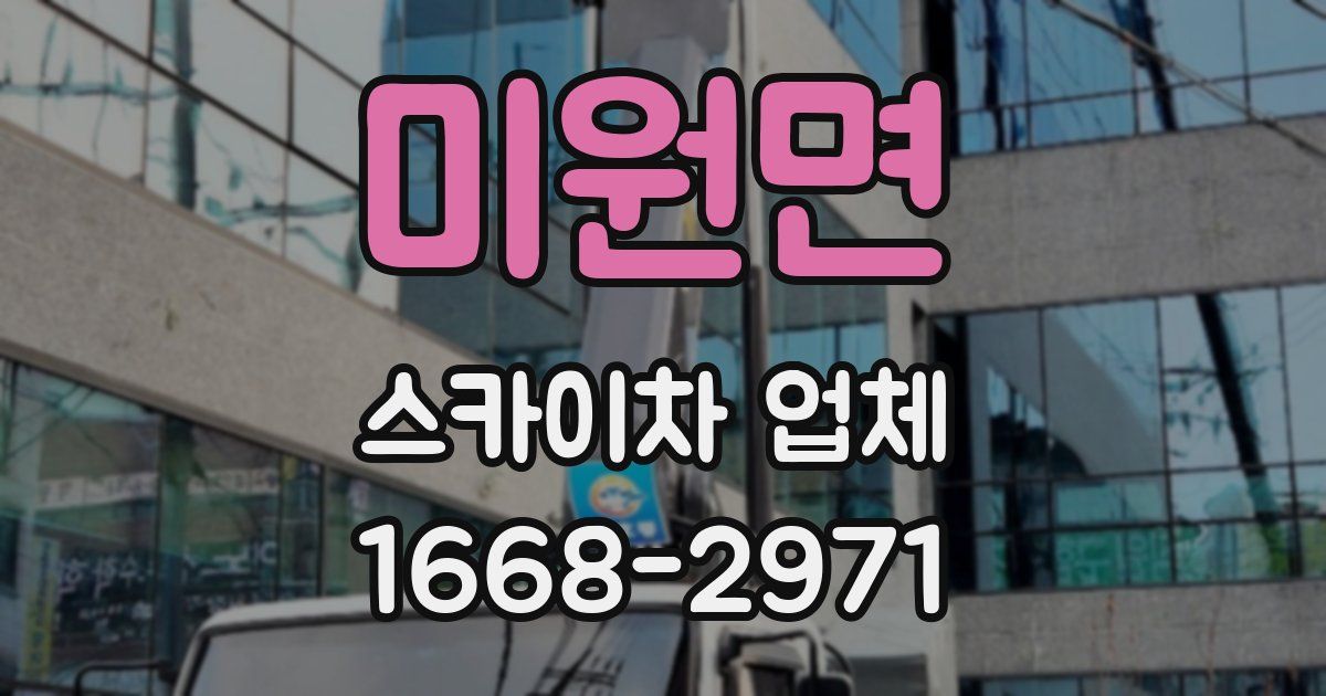 미원면 스카이차 업체
