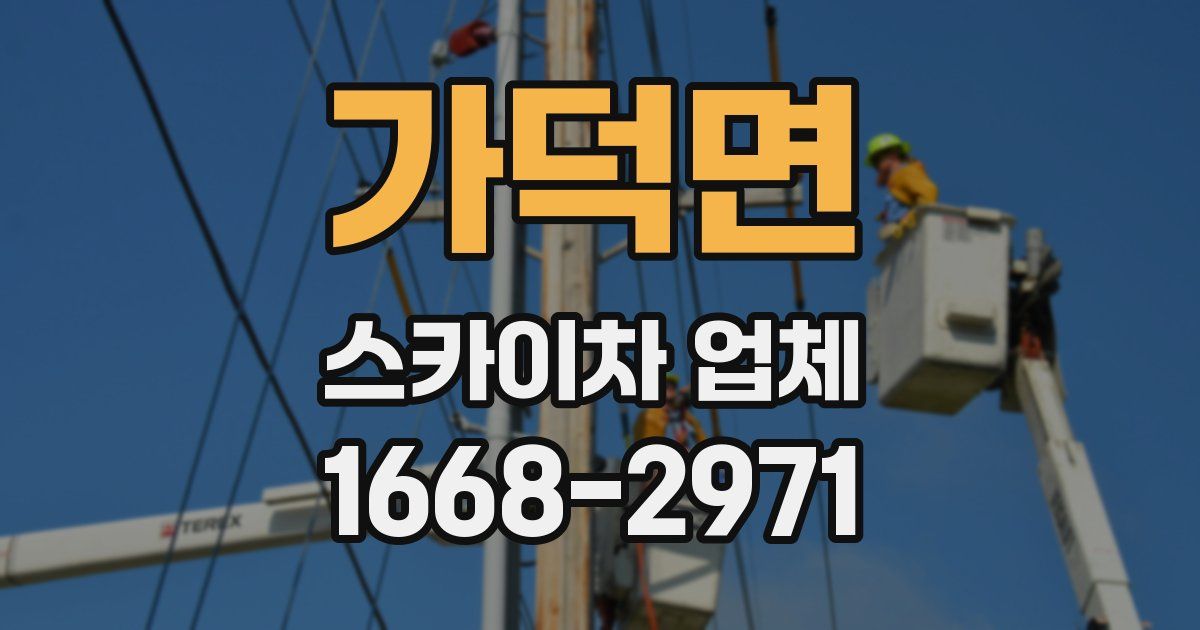 가덕면 스카이차 업체