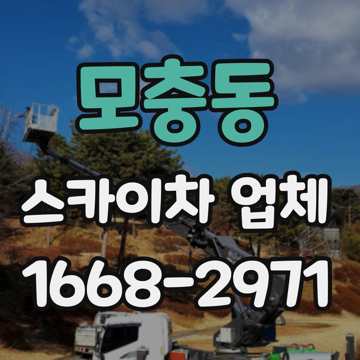 모충동 스카이차 업체