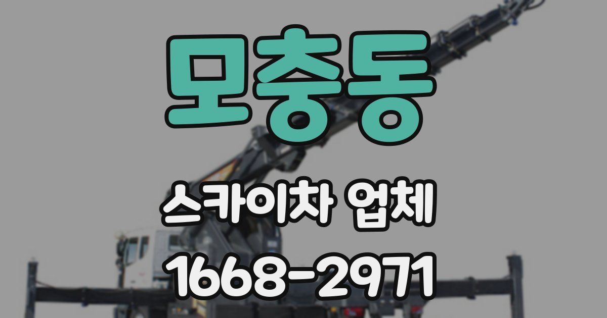 모충동 스카이차 업체