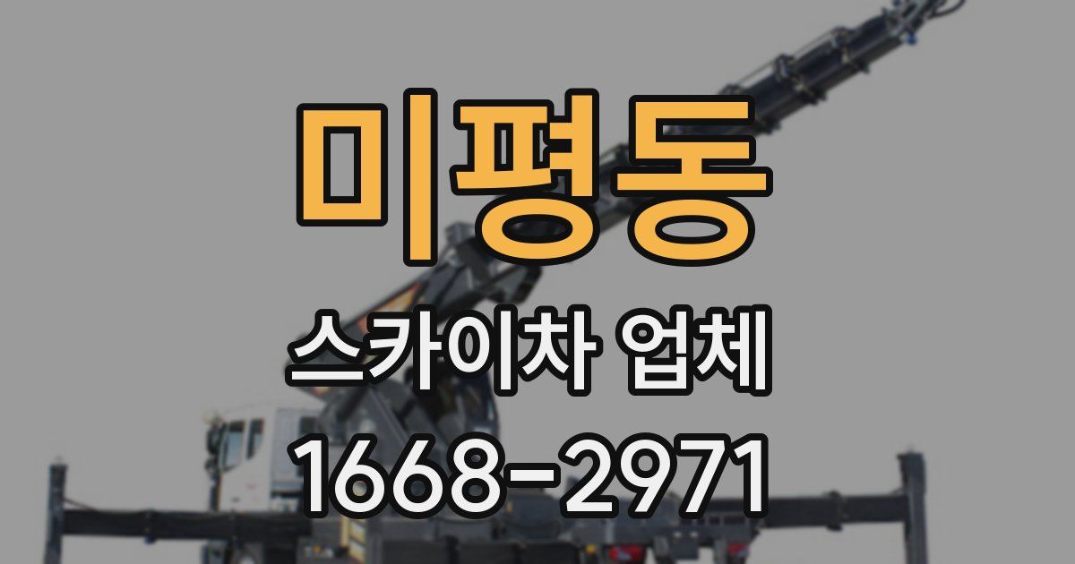 미평동 스카이차 업체