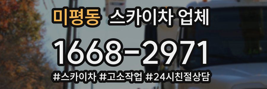 미평동 스카이차 업체