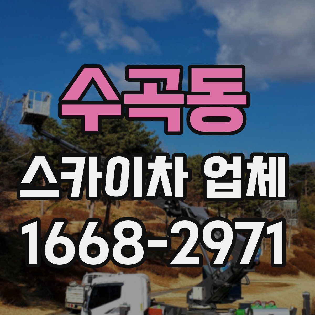 수곡동 스카이차 업체
