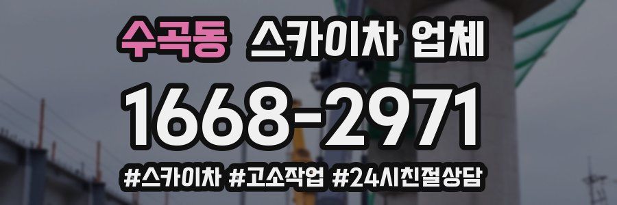 수곡동 스카이차 업체