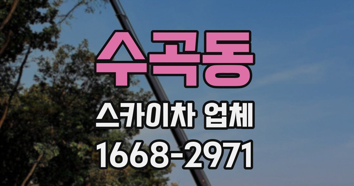수곡동 스카이차 업체