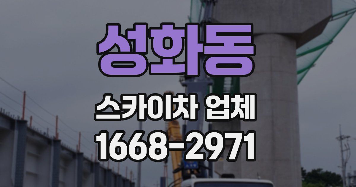 성화동 스카이차 업체