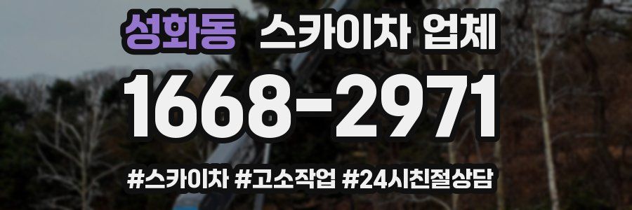 성화동 스카이차 업체