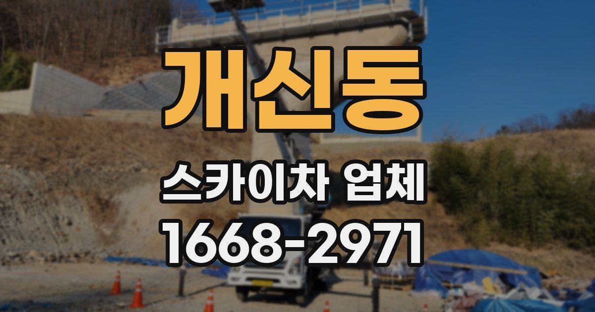 개신동 스카이차 업체