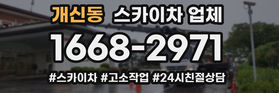 개신동 스카이차 업체