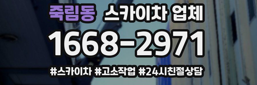죽림동 스카이차 업체