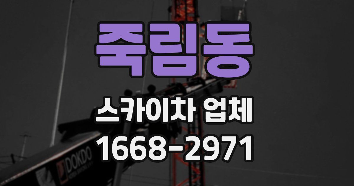 죽림동 스카이차 업체