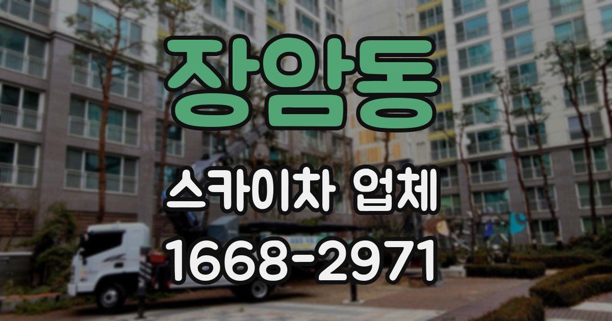 장암동 스카이차 업체