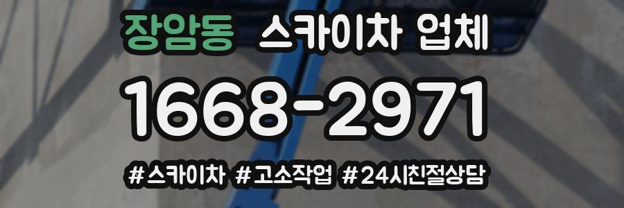장암동 스카이차 업체