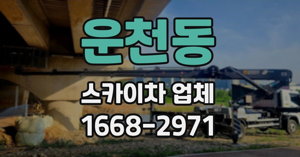 운천동 스카이차 업체