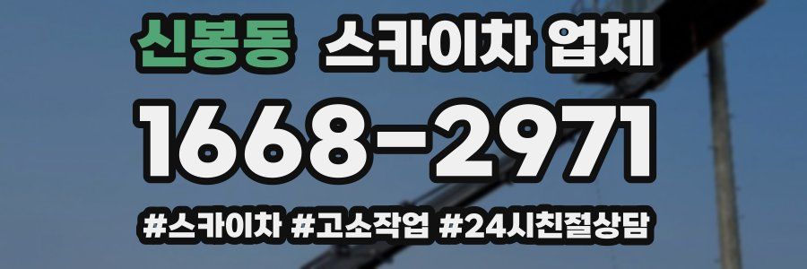 신봉동 스카이차 업체