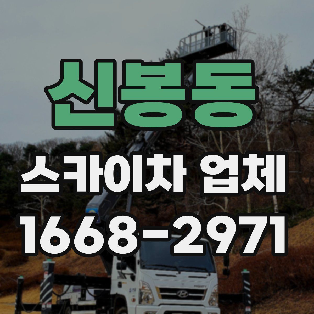 신봉동 스카이차 업체