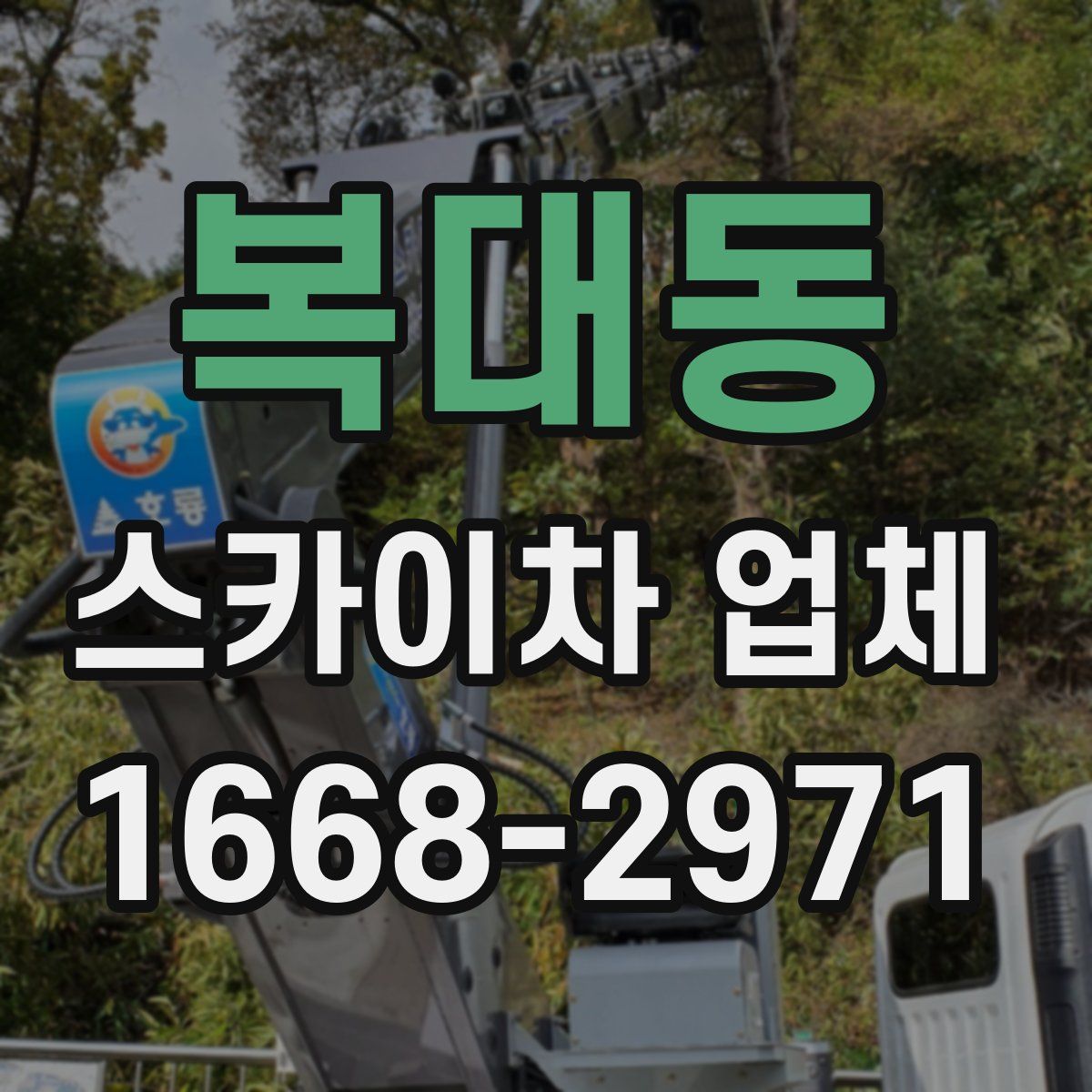 복대동 스카이차 업체