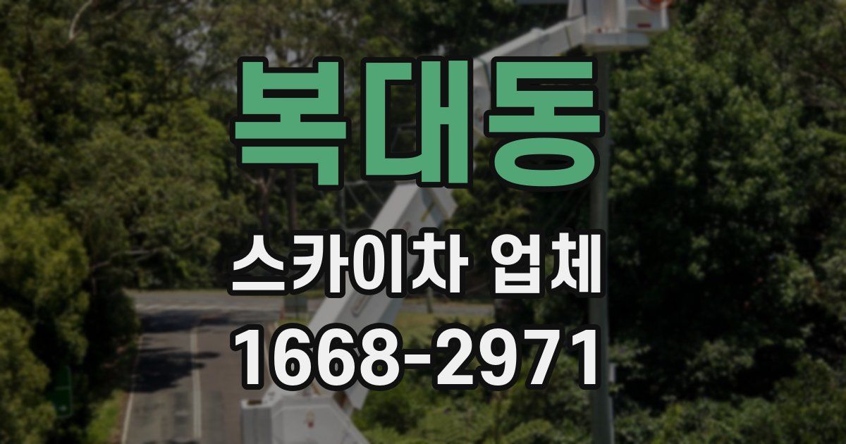 복대동 스카이차 업체