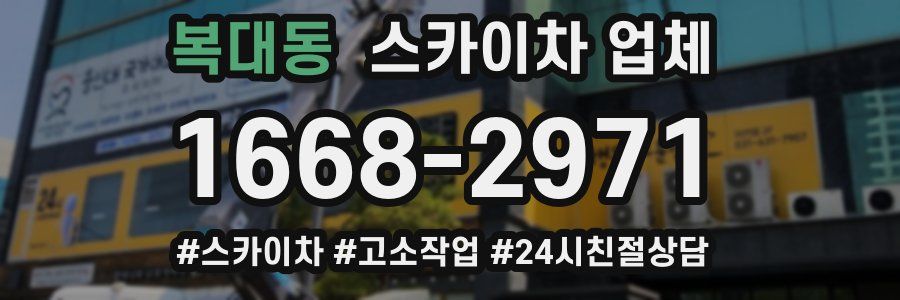 복대동 스카이차 업체