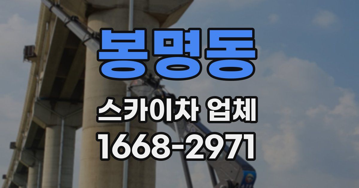 봉명동 스카이차 업체