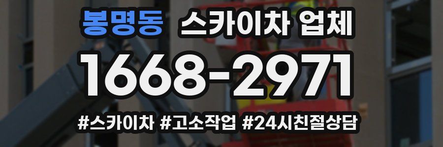 봉명동 스카이차 업체