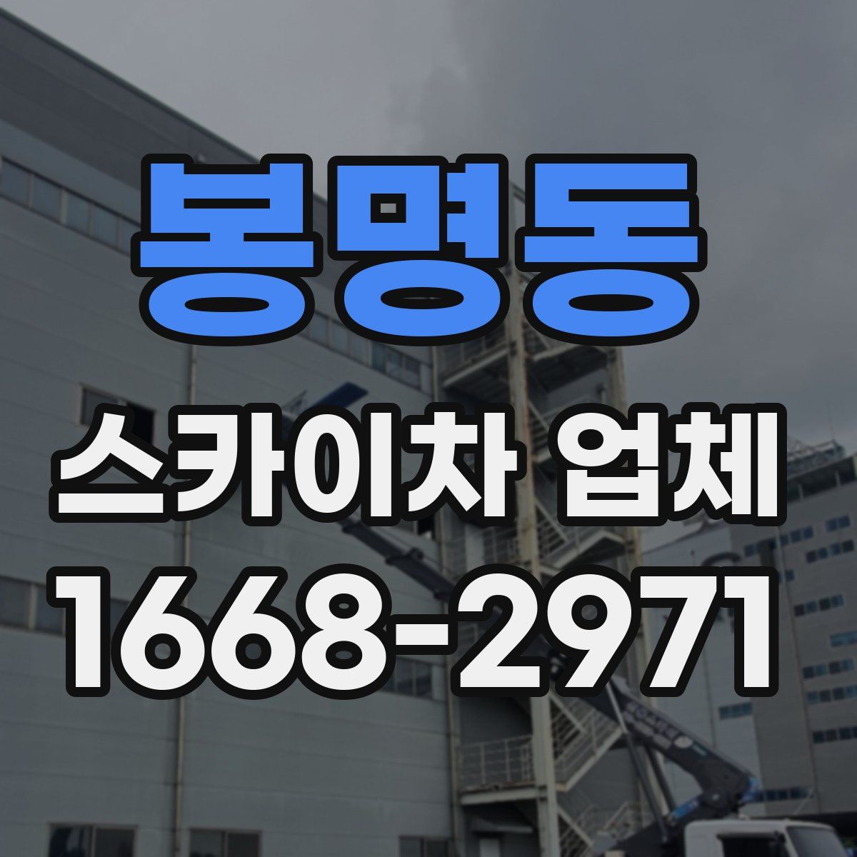 봉명동 스카이차 업체